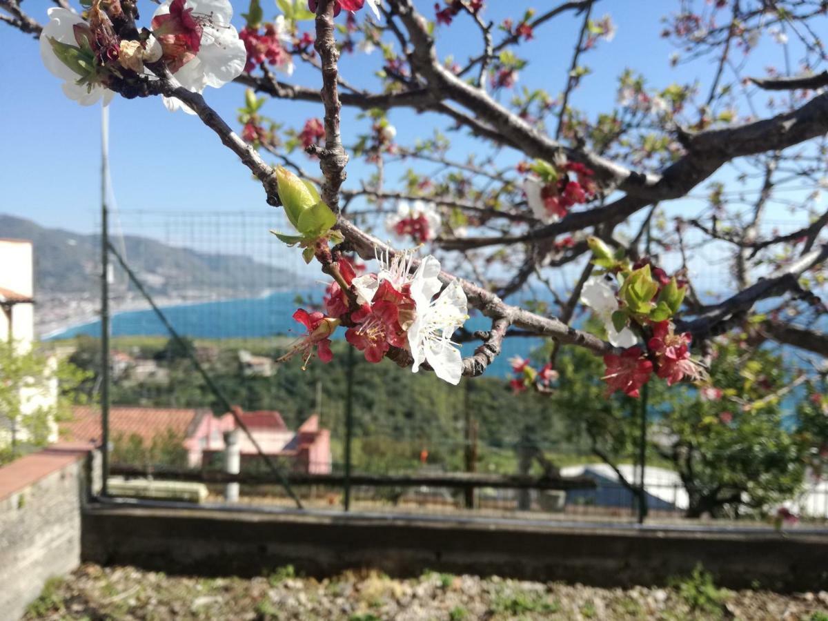 Villa Mariella Taormina Esterno foto